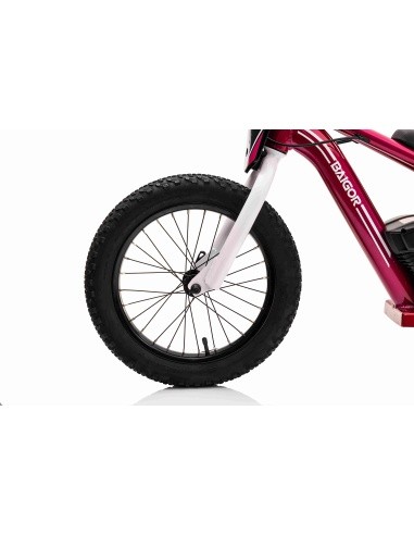 Variklis BAIGOR 23 PRO Pink