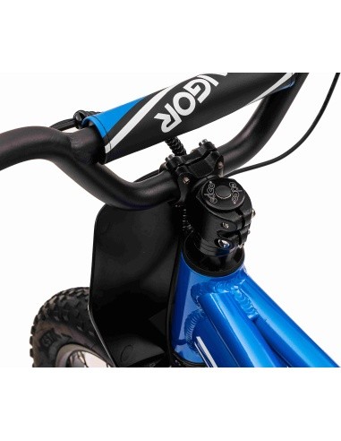 Variklis BAIGOR 23 PRO Blue