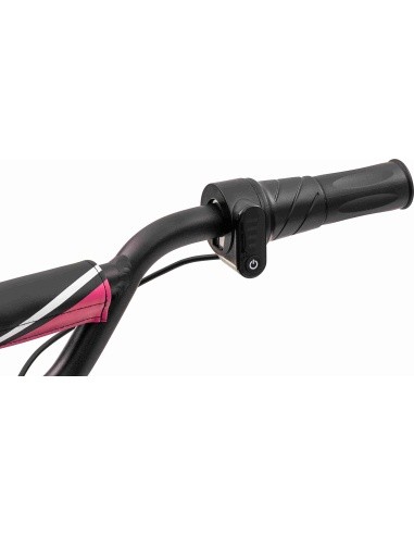 Variklis BAIGOR 23 PRO Pink