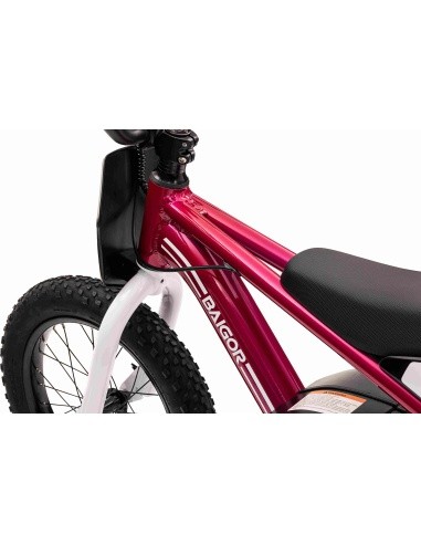 Variklis BAIGOR 23 PRO Pink
