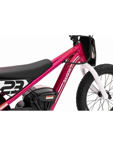 Variklis BAIGOR 23 PRO Pink