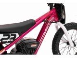 Variklis BAIGOR 23 PRO Pink