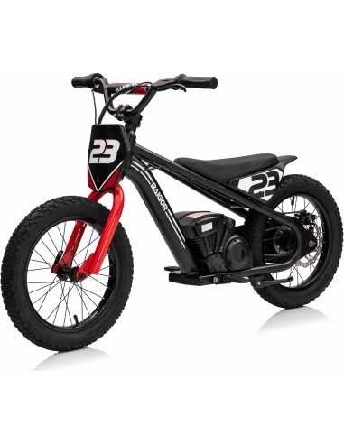 Motor BAIGOR 23 PRO Black