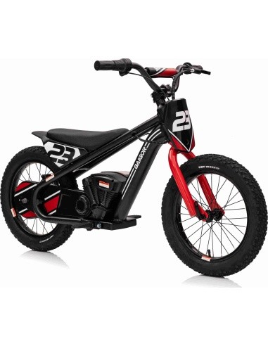 Motor BAIGOR 23 PRO Black