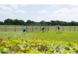 Floor Mounted Aluminium Football Goal EXIT Scala 500x200