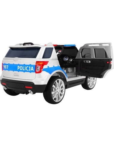Visureigis Lenkija Policija