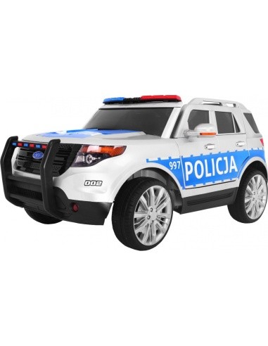 Visureigis Lenkija Policija