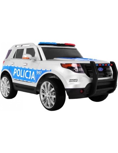 Visureigis Lenkija Policija