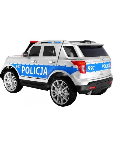 Visureigis Lenkija Policija