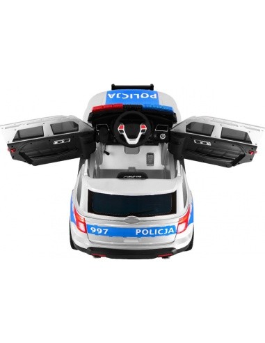 Visureigis Lenkija Policija