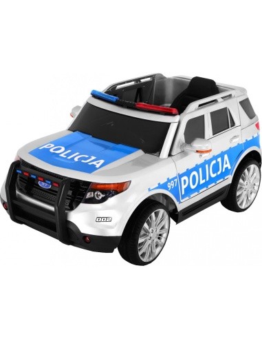 Visureigis Lenkija Policija