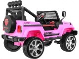 Transporto priemonė NEW Raptor DRIFTER 4 x 4 Pink