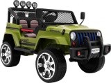 NAUJAS "Raptor DRIFTER" 4 x 4 žalias