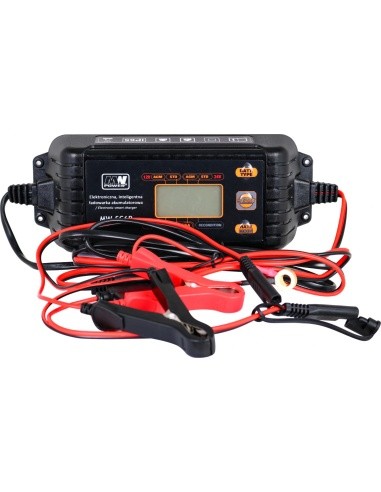 CHARGER WITH LCD DISPLAY 12V I 24V