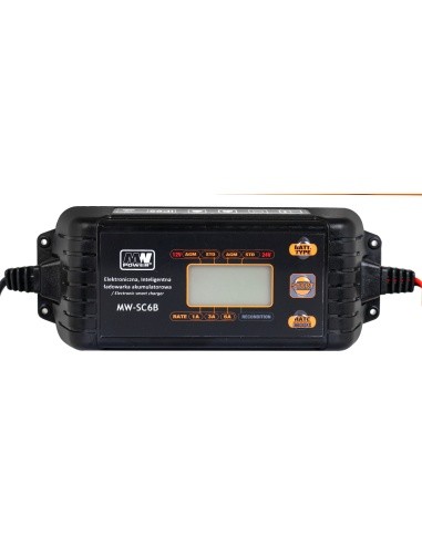 CHARGER WITH LCD DISPLAY 12V I 24V
