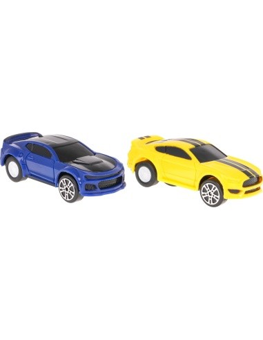 Race Track For Two Cars