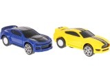 Race Track For Two Cars