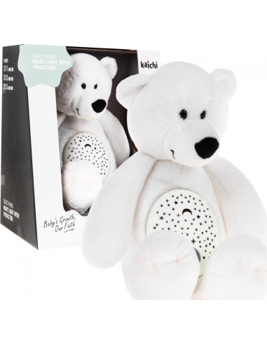 Teddy Bear With World Sounds Function