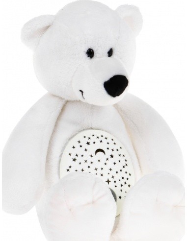 Teddy Bear With World Sounds Function