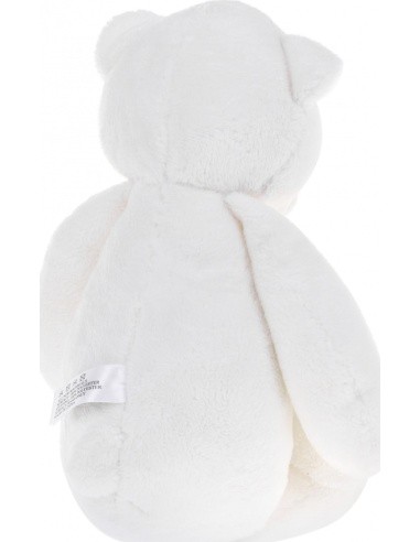 Teddy Bear With World Sounds Function