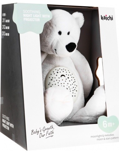 Teddy Bear With World Sounds Function