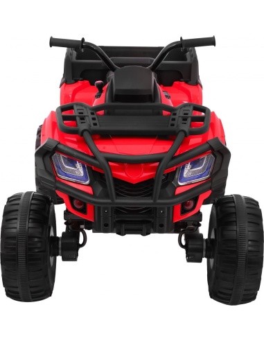 Visureigis keturratis 4 x 4 Raudona