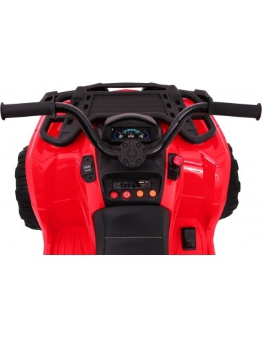 Visureigis keturratis 4 x 4 Raudona
