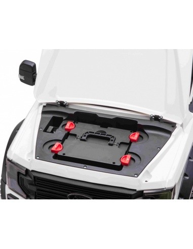 "Ford Super Duty" baltos spalvos