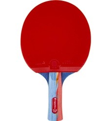Stalo teniso raketė inSPORTline Shootfair S5
