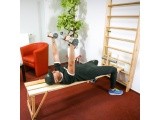 Švediška gimnastikos sienelė inSPORTline Steadyline 200x90cm