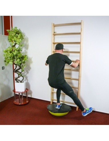 Švediška gimnastikos sienelė inSPORTline Steadyline 200x90cm