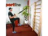 Švediška gimnastikos sienelė inSPORTline Steadyline 200x90cm