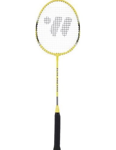 ALUMTEC 4466 BADMINTONO RINKINYS 2 VNT. + SMIGINIS 3 VNT. + TINKLELIS + NORŲ LINIJOS