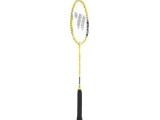 ALUMTEC 4466 BADMINTONO RINKINYS 2 VNT. + SMIGINIS 3 VNT. + TINKLELIS + NORŲ LINIJOS