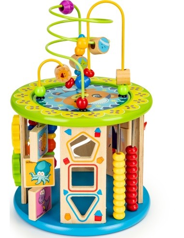 Wooden educational cube EcoToys