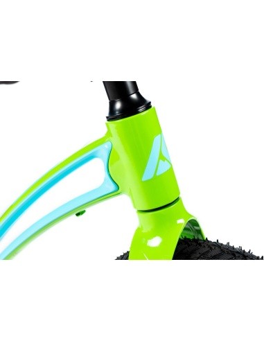 Balansinis dviratukas Karbon First green-blue