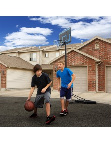 Basketball Hoop With Stand Lifetime Buzzer