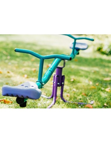 Rotating Seesaw Plum, Turqoise