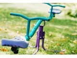 Rotating Seesaw Plum, Turqoise