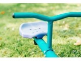 Rotating Seesaw Plum, Turqoise