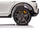 Elektromobilis vaikams Porsche Taycan Turbo S, baltas