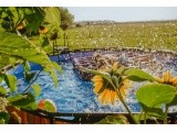 EXIT Stone pool ø427x122cm with sand filter pump - grey