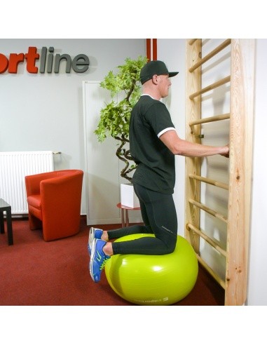 Wall Bars inSPORTline Steadyline 220 x 90 cm