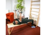 Švediška gimnastikos sienelė su skersiniu inSPORTline Dremar 215x80cm