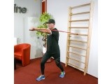 Wall Bars inSPORTline Dremar 215 x 80 cm - varnished