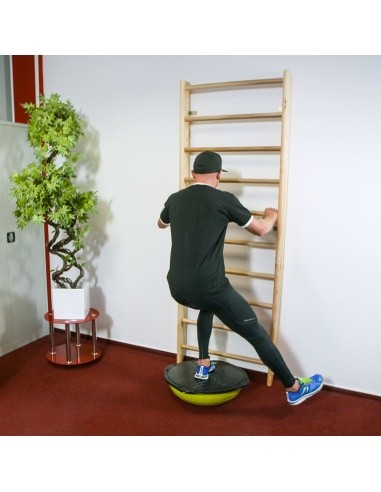 Švediška gimnastikos sienelė su skersiniu inSPORTline Dremar 215x80cm