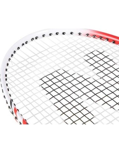NRZ205 ALUMINUM / BADMINTON SET + COVER NILS