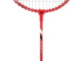 NRZ205 ALUMINUM / BADMINTON SET + COVER NILS