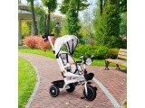 Vaikiškas triratukas su sukiąja sėdyne, stūmimo rankena ir stogeliu ECOTOYS