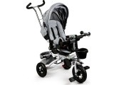 Turning tricycle 360° Grey Delux with canopy ECOTOYS